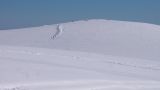 getwebimage.php?pid=100094&url=http%3A%2F%2Fimg11.hostingpics.net%2Fpics%2F225676022.jpg