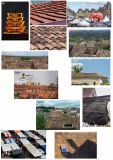 getwebimage.php?pid=100463&url=http%3A%2F%2Fimg15.hostingpics.net%2Fpics%2F27541520t1.jpg