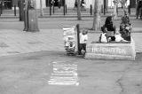 getwebimage.php?pid=101948&url=https%3A%2F%2Fc3.staticflickr.com%2F9%2F8678%2F28585796722_2810c673f9_c.jpg