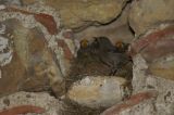 getwebimage.php?pid=11931&url=http%3A%2F%2Fwww.ams09.fr%2FPartage%2FDxD%2FPhotos%2FRQ02.JPG