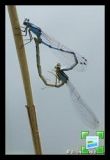 getwebimage.php?pid=2876&url=http%3A%2F%2Fwww.zimagez.com%2Fminiature%2F2007-06-1706.jpg