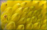 getwebimage.php?pid=4435&url=http%3A%2F%2Fi22.servimg.com%2Fu%2Ff22%2F11%2F04%2F31%2F48%2Fpict5010.jpg