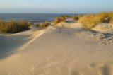 getwebimage.php?pid=492&url=http%3A%2F%2Fskyrally.free.fr%2FD7D%2Fdunes.jpg