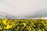getwebimage.php?pid=62899&url=http%3A%2F%2Fegr.photo.free.fr%2F2012_04_28_Beauce_Fertile%2FDSC07345_DxO.JPG
