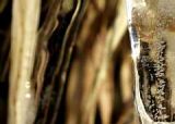 getwebimage.php?pid=8145&url=http%3A%2F%2Fc.montculier.free.fr%2FPhotos%2F2008_03_23-Pavin%2FTN_Pavin_06.JPG