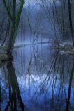 getwebimage.php?pid=98859&url=http%3A%2F%2Fwww.durevealimage.net%2Fforum%2Fuploads%2Fimages2016%2F20160120085308810345-1af71f91e150d15dce963a628826807b.jpg