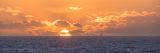 getwebimage.php?pid=99227&url=https%3A%2F%2Ffarm2.staticflickr.com%2F1661%2F24958803741_7e6e9b75ef_b.jpg