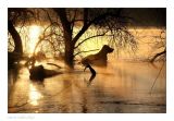getwebimage.php?pid=99252&url=http%3A%2F%2Fi84.servimg.com%2Fu%2Ff84%2F11%2F09%2F13%2F63%2Fdscf9210.jpg