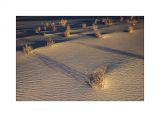getwebimage.php?pid=99419&url=http%3A%2F%2Fwww.instants-choisis.ch%2Fpubliweb%2FCA%2F_DSC5993_800cb.jpg
