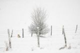 getwebimage.php?pid=99441&url=https%3A%2F%2Ffarm2.staticflickr.com%2F1474%2F24544518904_9ab9d98c16_o.jpg