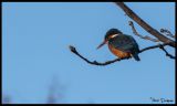 getwebimage.php?pid=99537&url=http%3A%2F%2Fimg4.hostingpics.net%2Fpics%2F515737DSC01340.jpg