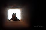 getwebimage.php?pid=99576&url=https%3A%2F%2Fc2.staticflickr.com%2F2%2F1522%2F25565331336_dcbd2404a8_c.jpg