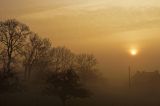 getwebimage.php?pid=99610&url=https%3A%2F%2Ffarm2.staticflickr.com%2F1626%2F25088574534_1653ef28db_b.jpg
