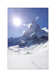 getwebimage.php?pid=99622&url=http%3A%2F%2Fwww.instants-choisis.ch%2Fpubliweb%2FIMG_2359_800cb.jpg