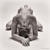 getwebimage.php?pid=99740&url=https%3A%2F%2Ffarm6.staticflickr.com%2F5632%2F22392221133_b07961c0e4_b.jpg