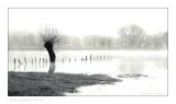 getwebimage.php?pid=99815&url=http%3A%2F%2Fi86.servimg.com%2Fu%2Ff86%2F11%2F09%2F13%2F63%2Fdscf9210.jpg
