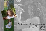 getwebimage.php?pid=9997&url=http%3A%2F%2Flesmarmat.free.fr%2Fmontage1-700.jpg