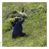 getphpbbimage.php?id=225901