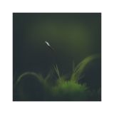 getphpbbimage.php?id=226362