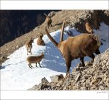 getphpbbimage.php?id=226366