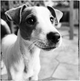 getphpbbimage.php?id=226548