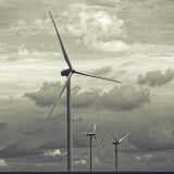 getphpbbimage.php?id=226901