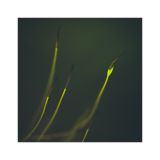 getphpbbimage.php?id=226984