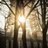 getphpbbimage.php?id=227032