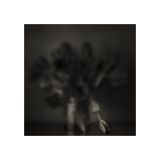 getphpbbimage.php?id=228021