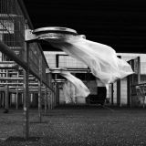 getphpbbimage.php?id=228074