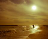 getphpbbimage.php?id=228182