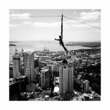 getphpbbimage.php?id=228302