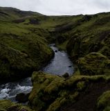 getphpbbimage.php?id=228347