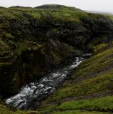 getphpbbimage.php?id=228351