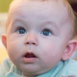 getphpbbimage.php?id=228354