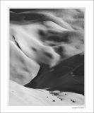 getphpbbimage.php?id=228681