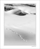 getphpbbimage.php?id=228872