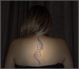 getphpbbimage.php?id=228979