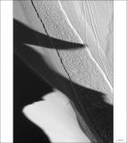 getphpbbimage.php?id=229244