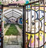 getphpbbimage.php?id=229497