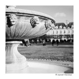 getphpbbimage.php?id=229580