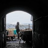 getphpbbimage.php?id=229966