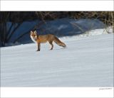 getphpbbimage.php?id=230540