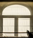 getphpbbimage.php?id=230660