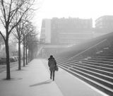 getphpbbimage.php?id=230713