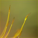 getphpbbimage.php?id=230873