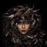 getphpbbimage.php?id=230918