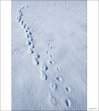 getphpbbimage.php?id=230946