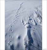 getphpbbimage.php?id=230948