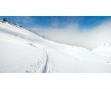 getphpbbimage.php?id=231280